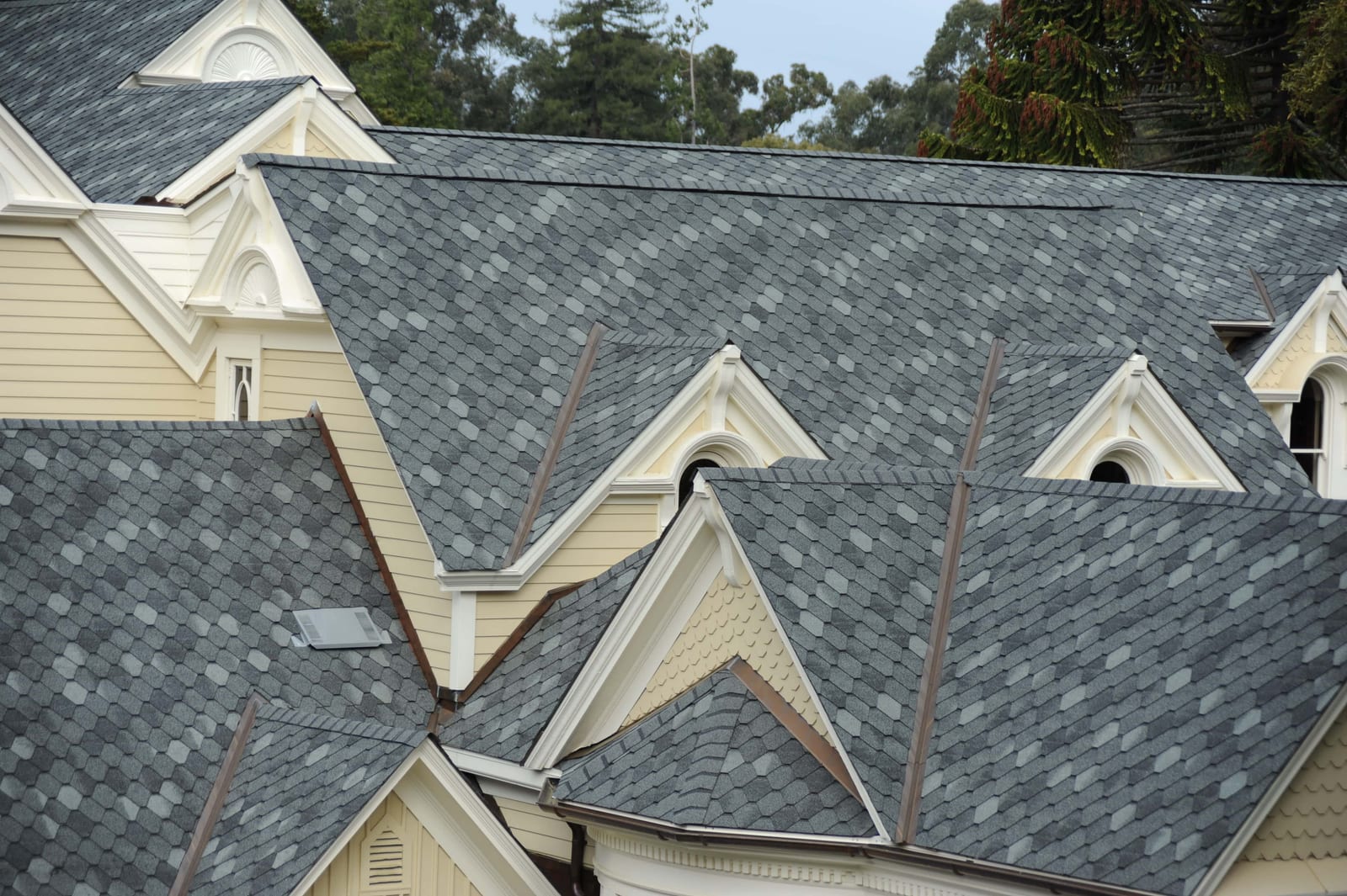 Detailed architectural roofing and eavestroughs
